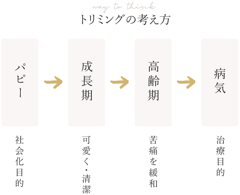 トリミングの考え方